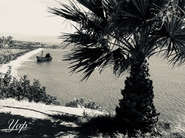 Photo 12-03-2018 20 40 25